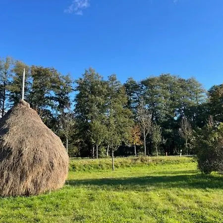 Spreewaldhaus Auszeit Сasa de vacaciones *
